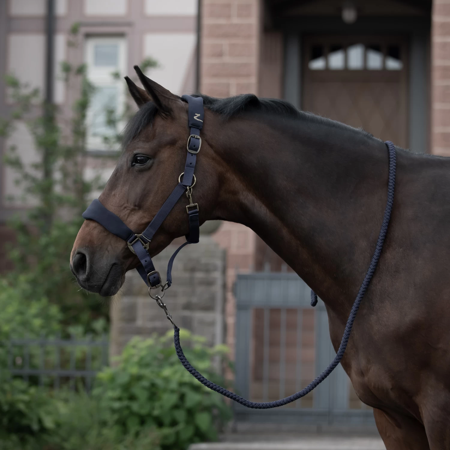 Horze Graz Halter 14 Horze Graz Halter - Image 13