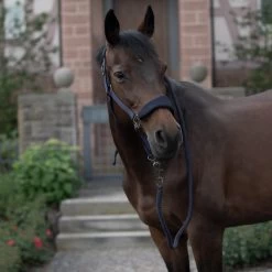 Horze Graz Halter 33 Horze Graz Halter -Sports - Horse Equipment Shop 22299 PDB 5