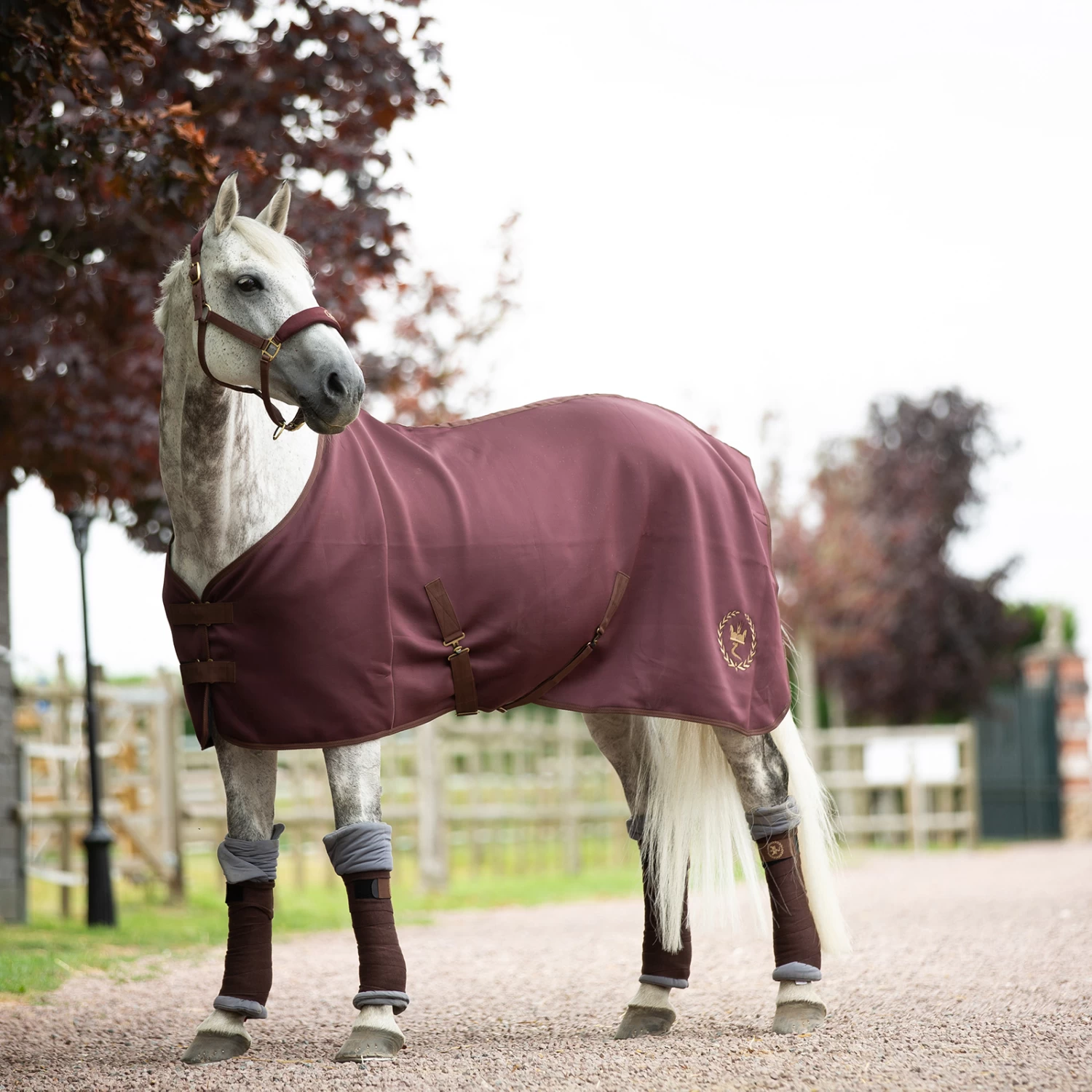 Horze Graz Halter 18 Horze Graz Halter - Image 17