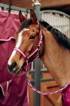 Horze Ella Pony Halter & Lead Set -Sports - Horse Equipment Shop 22311 ADPI 2