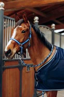 Horze Ella Pony Halter & Lead Set -Sports - Horse Equipment Shop 22311 PDB 2