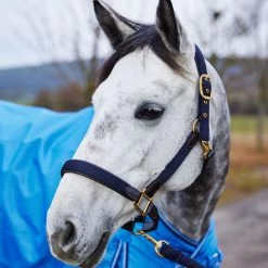 Horze Halter With Leather Details 19 Horze Halter With Leather Details -Sports - Horse Equipment Shop 22312 DB 2