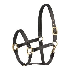 Horze Halter With Leather Details 21 Horze Halter With Leather Details -Sports - Horse Equipment Shop 22312 DG 1