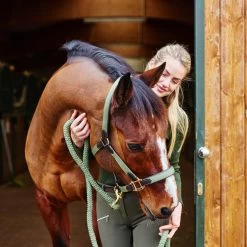 Horze Halter With Leather Details 28 Horze Halter With Leather Details -Sports - Horse Equipment Shop 22312 GR 3