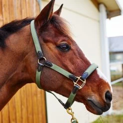 Horze Halter With Leather Details 29 Horze Halter With Leather Details -Sports - Horse Equipment Shop 22312 GR 4