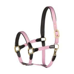Horze Halter With Leather Details 31 Horze Halter With Leather Details -Sports - Horse Equipment Shop 22312 PI 1