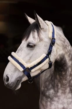 Horze Marquess Halter With Faux Fur Lining -Sports - Horse Equipment Shop 22314 VDB 3