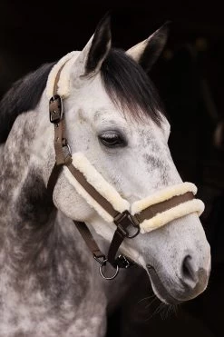 Horze Marquess Halter With Faux Fur Lining -Sports - Horse Equipment Shop 22314 WBR 2