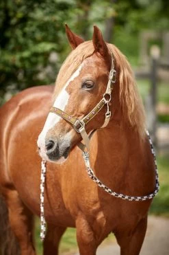 Horze Monster Pony Halter -Sports - Horse Equipment Shop 22322 GGR 2