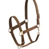 Horze Houston Halter -Sports - Horse Equipment Shop 22330 BDBR 1
