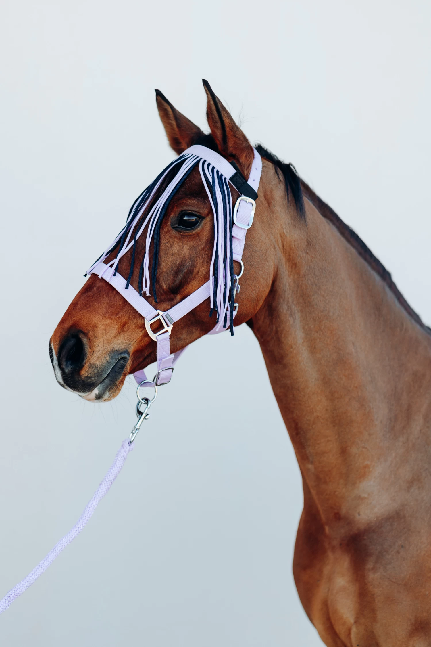 Horze Moreton Halter, Lead & Fly Veil Set 6 Horze Moreton Halter, Lead & Fly Veil Set - Image 4