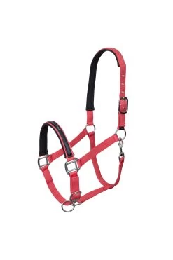 Horze Oslo Halter -Sports - Horse Equipment Shop 22335 RGRE 1