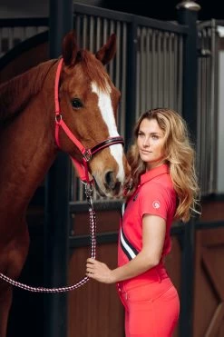 Horze Oslo Halter -Sports - Horse Equipment Shop 22335 RGRE 2