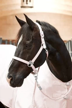 Horze Bari Halter & Lead Set -Sports - Horse Equipment Shop 22336 PPI 2