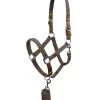 Horze Coventry Braided Halter & Lead Set