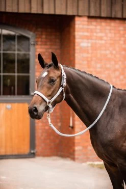 Horze Victoria Halter 25 Horze Victoria Halter -Sports - Horse Equipment Shop 22340 twg 04