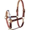 Horze Terrazzo Satin Halter -Sports - Horse Equipment Shop 22348 281 01
