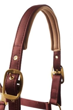 Horze Terrazzo Satin Halter -Sports - Horse Equipment Shop 22348 281 03