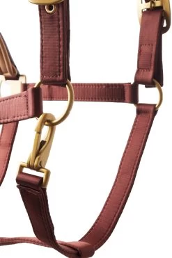 Horze Terrazzo Satin Halter -Sports - Horse Equipment Shop 22348 281 04