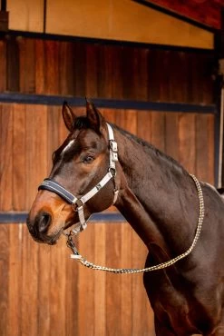 Horze Wicklow Halter 17 Horze Wicklow Halter -Sports - Horse Equipment Shop 22359 025 04
