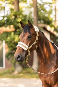 Horze St. Moritz Halter -Sports - Horse Equipment Shop 22360 676 05