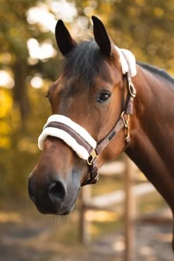 Horze St. Moritz Halter -Sports - Horse Equipment Shop 22360 784 05