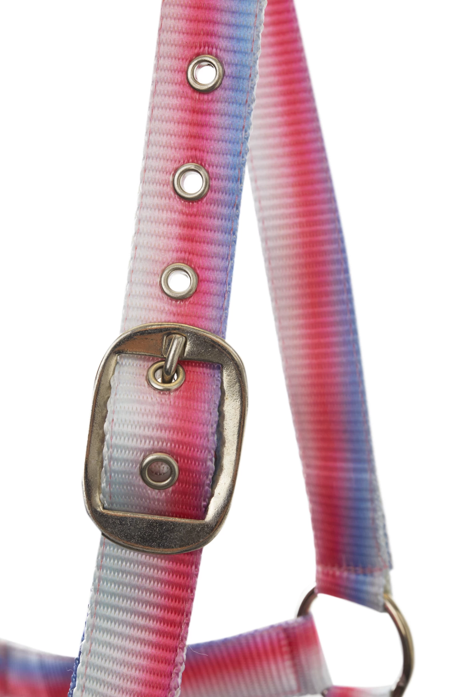 Horze Ice Water Halter Set 4 Horze Ice Water Halter Set - Image 2