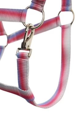Horze Ice Water Halter Set 13 Horze Ice Water Halter Set -Sports - Horse Equipment Shop 22362 338 03