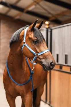 Horze Ice Water Halter Set 19 Horze Ice Water Halter Set -Sports - Horse Equipment Shop 22362 542 05