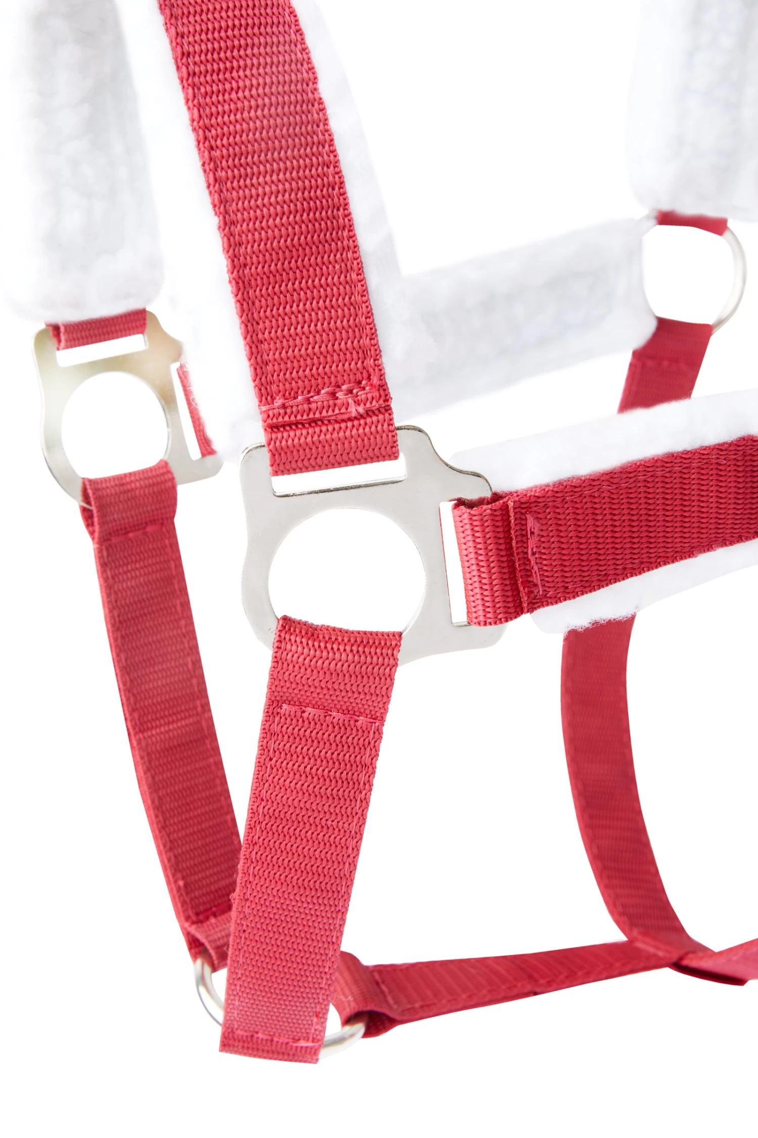 Horze Christmas Halter 4 Horze Christmas Halter - Image 2