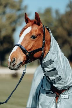 Sports - Horse Equipment Shop -Sports - Horse Equipment Shop 22502 BL 2