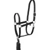 Horze Basic Halter & Panic Hook Lead -Sports - Horse Equipment Shop 22504 BL 1