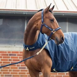 Horze Holbrook Chain Lead 10 Horze Holbrook Chain Lead -Sports - Horse Equipment Shop 22613 PDB 2