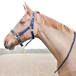 Horze Holbrook Chain Lead 11 Horze Holbrook Chain Lead -Sports - Horse Equipment Shop 22613 PDB 3