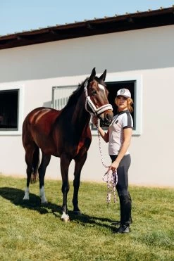 B Vertigo Cameron Lead With Panic Hook -Sports - Horse Equipment Shop 22644 SIPI 2