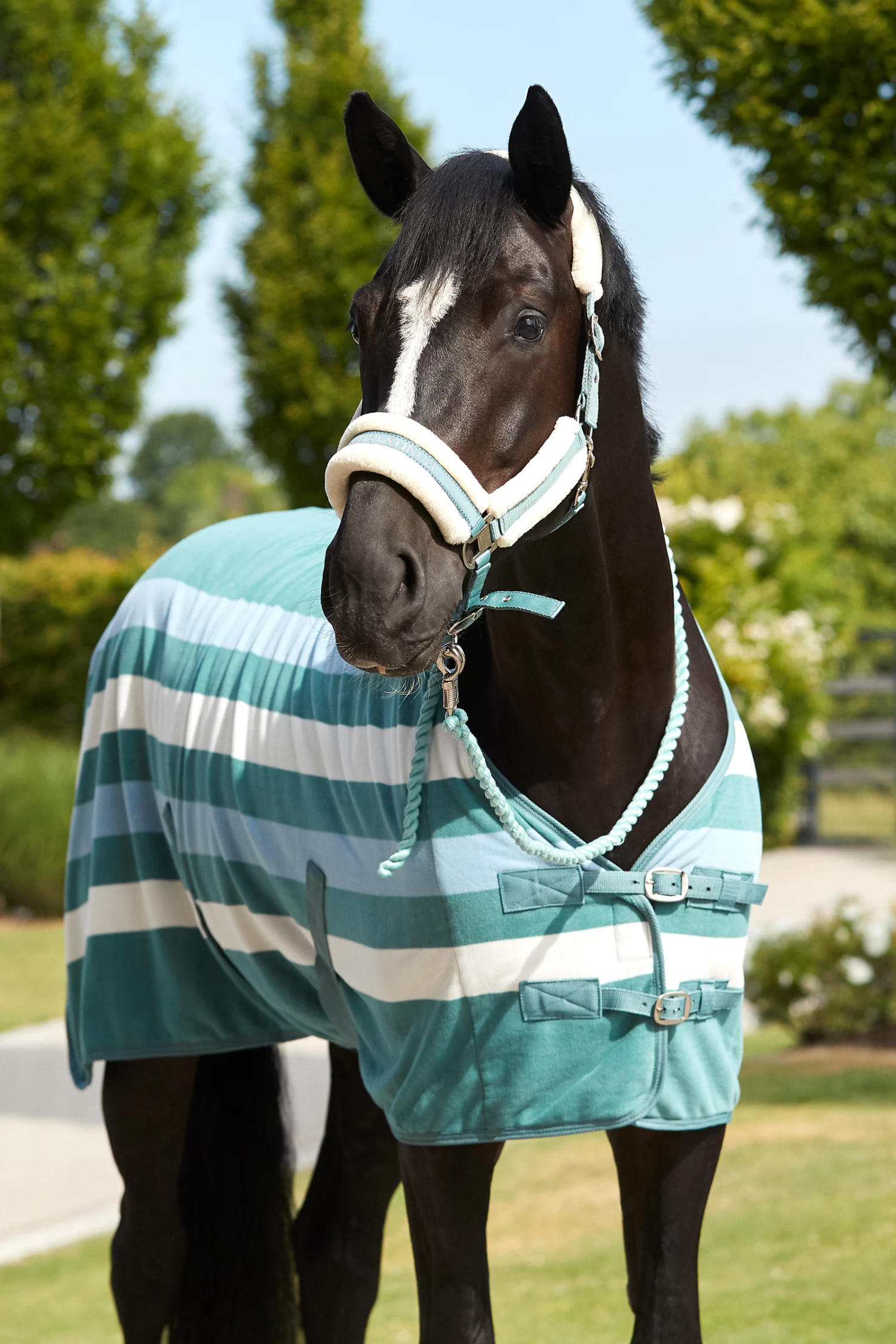 Horze Stanford Lead With Panic Hook 4 Horze Stanford Lead With Panic Hook - Image 2