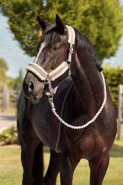 Horze Stanford Lead With Panic Hook 11 Horze Stanford Lead With Panic Hook -Sports - Horse Equipment Shop 22749 RGPU 2