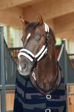 Horze Stanford Lead With Panic Hook 13 Horze Stanford Lead With Panic Hook -Sports - Horse Equipment Shop 22749 VDB 2