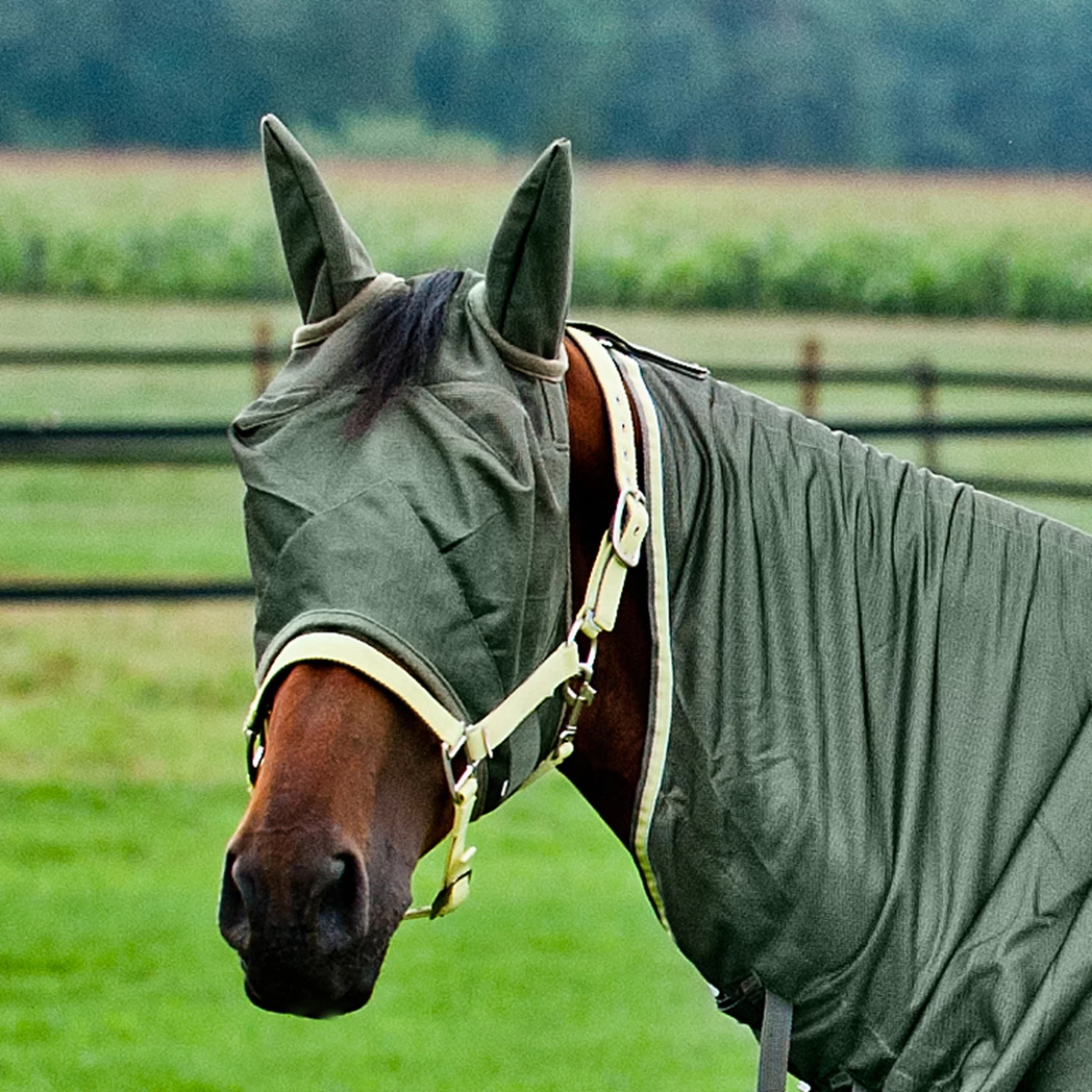 Horze Fly Mask 7 Horze Fly Mask - Image 5