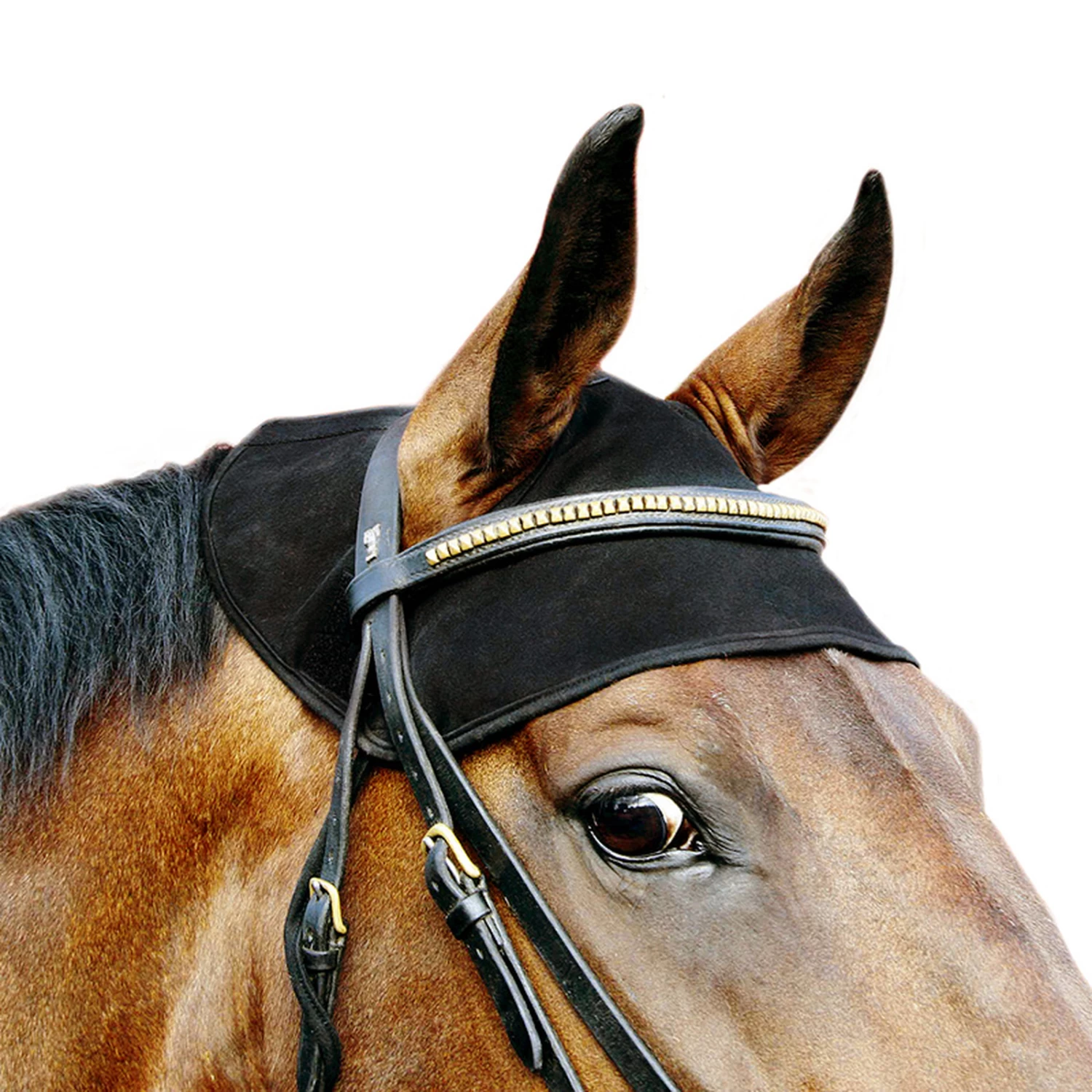 Back On Track Horse Neck Cap 3 Back On Track Horse Neck Cap