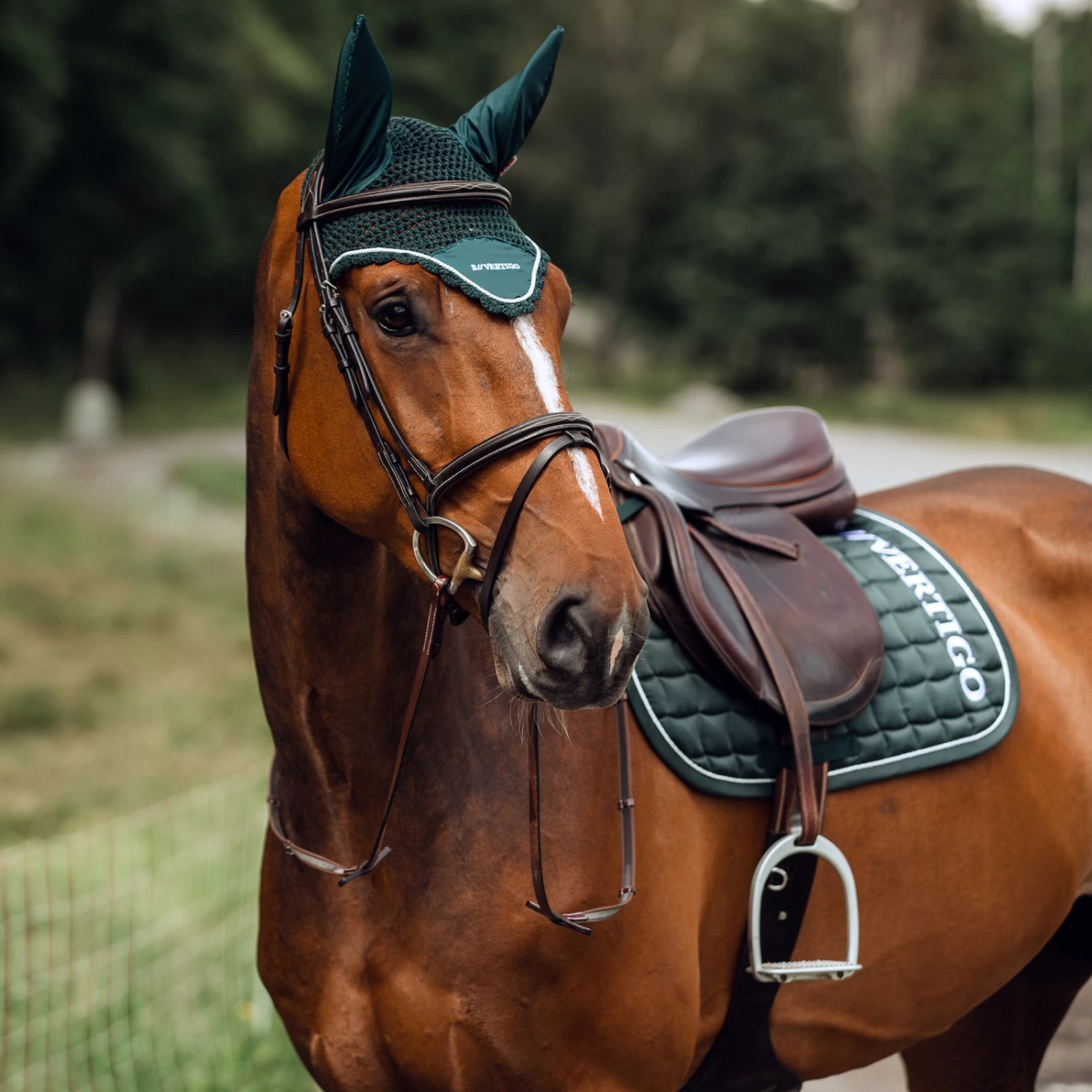 B Vertigo Gillam Ear Net 4 B Vertigo Gillam Ear Net - Image 2