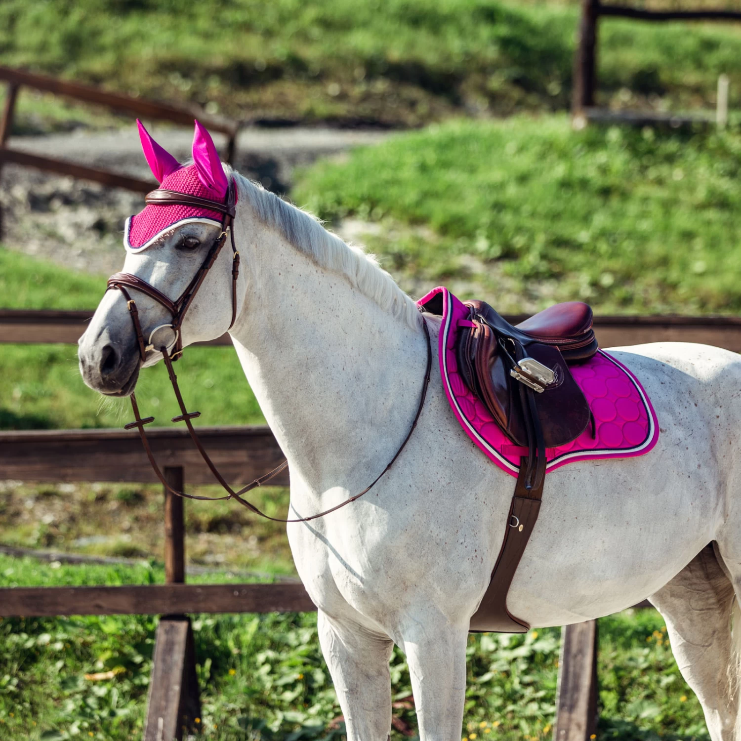 Horze Miami Ear Net 4 Horze Miami Ear Net - Image 2