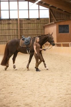 Horze Glarus Ear Net With Metallic Braiding -Sports - Horse Equipment Shop 22917 bdbr 04