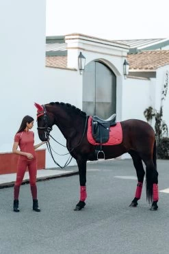 B Vertigo Laurel Ear Net -Sports - Horse Equipment Shop 22930 MNRE 5