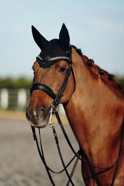 B Vertigo Drew Ear Net 16 B Vertigo Drew Ear Net -Sports - Horse Equipment Shop 22931 BL 3