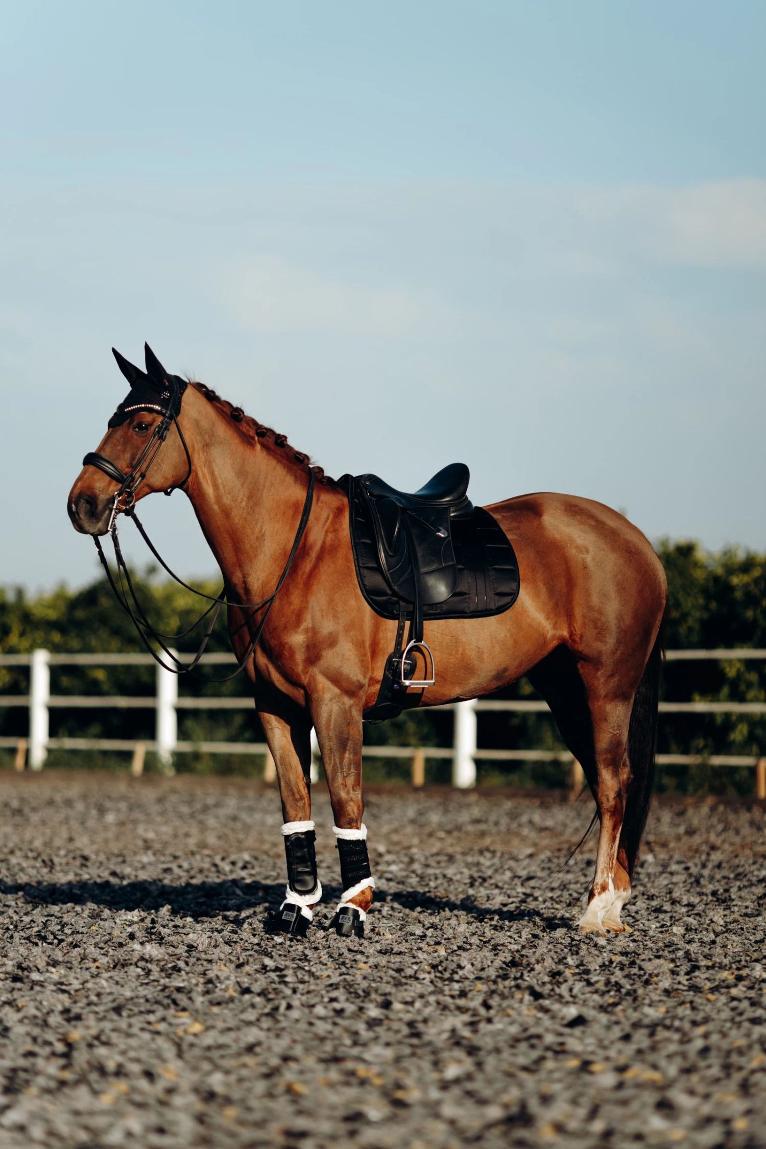 B Vertigo Drew Ear Net 6 B Vertigo Drew Ear Net - Image 4