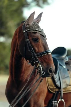 B Vertigo Drew Ear Net 20 B Vertigo Drew Ear Net -Sports - Horse Equipment Shop 22931 UBBR 3