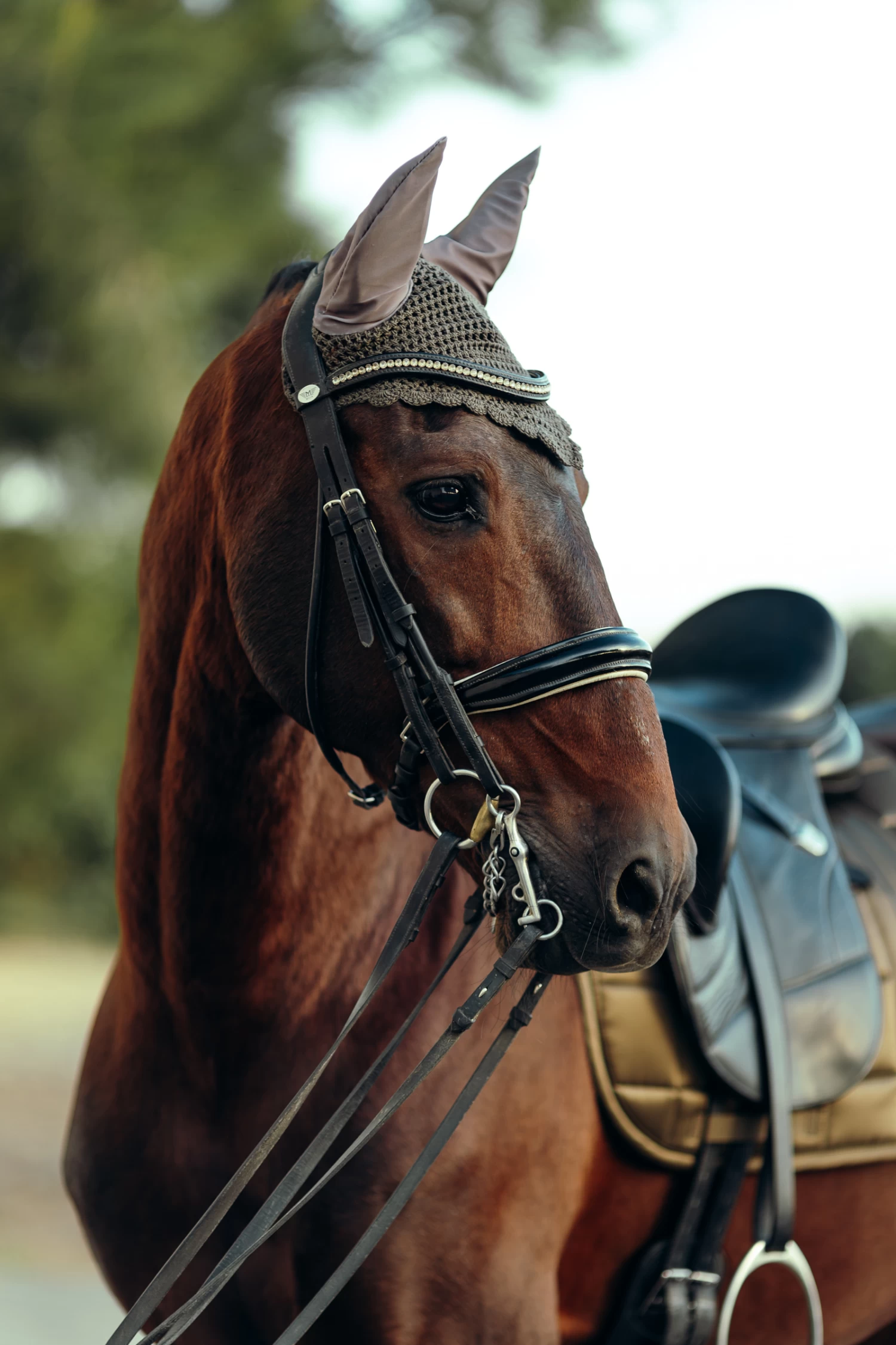 B Vertigo Drew Ear Net 9 B Vertigo Drew Ear Net - Image 7