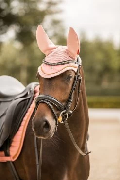 B Vertigo Quinn Ear Net 21 B Vertigo Quinn Ear Net -Sports - Horse Equipment Shop 22937 orpi 03