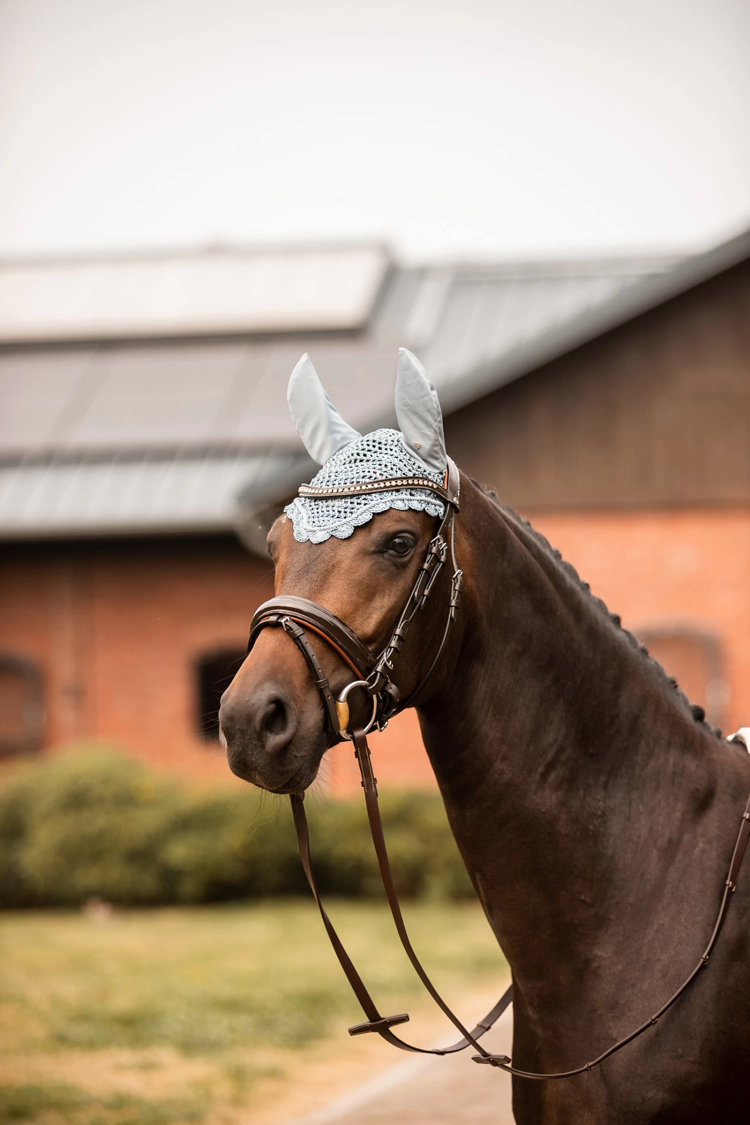 Horze Victoria Ear Net 8 Horze Victoria Ear Net - Image 6